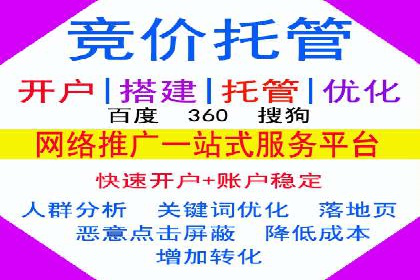 竞价排名失败案例：原因与教训